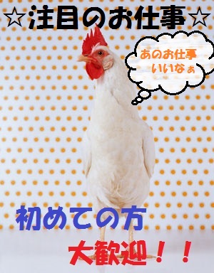 バイト先の写真